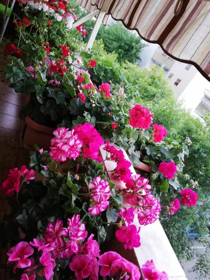 B&B Casa Mia Alghero Luaran gambar